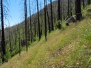 photo thumbnail #10
