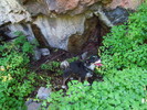 photo thumbnail #11