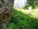 photo thumbnail #12