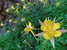 photo thumbnail #13