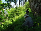 photo thumbnail #14