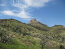 photo thumbnail #2