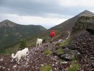 photo thumbnail #15