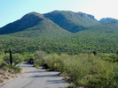 photo thumbnail #1