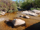 photo thumbnail #2