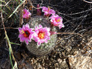 photo thumbnail #3