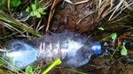 photo thumbnail #12