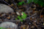 photo thumbnail #14