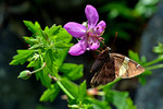 photo thumbnail #10