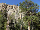 photo thumbnail #4