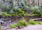 photo thumbnail #7