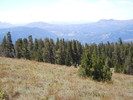 photo thumbnail #8