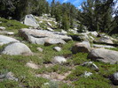photo thumbnail #12