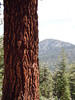photo thumbnail #13