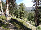 photo thumbnail #14