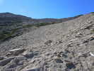 recent photo