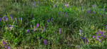 photo thumbnail #10