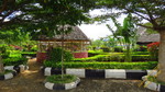 photo thumbnail #8