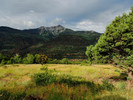 photo thumbnail #3