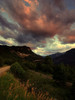 photo thumbnail #14