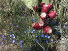 photo thumbnail #3
