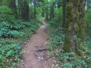 photo thumbnail #1