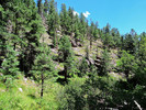 photo thumbnail #7