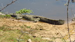 photo thumbnail #12