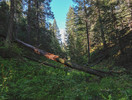 photo thumbnail #5