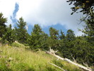 photo thumbnail #2