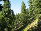 photo thumbnail #15