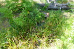photo thumbnail #3