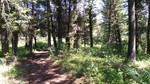 photo thumbnail #6