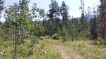 photo thumbnail #9