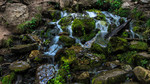 photo thumbnail #10