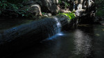 photo thumbnail #13