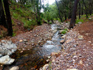photo thumbnail #10