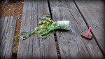 photo thumbnail #13