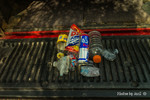 photo thumbnail #3