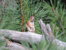 photo thumbnail #15