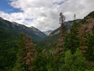 photo thumbnail #1