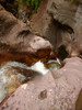 photo thumbnail #11