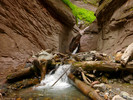 photo thumbnail #14