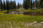 photo thumbnail #15