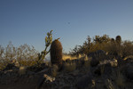 photo thumbnail #1