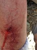 photo thumbnail #5