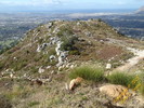 photo thumbnail #12