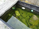 photo thumbnail #7