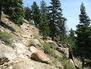 photo thumbnail #4