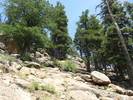 photo thumbnail #5